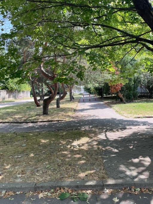 2,5 Izbovy Apartman V Ruzinove S Parkovanim Zdarma Bratislava Buitenkant foto